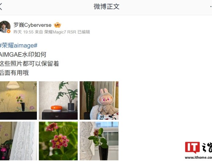 荣耀 AiMAGE 影像全新水印曝光，罗巍透露色块设计元素“是有用的”