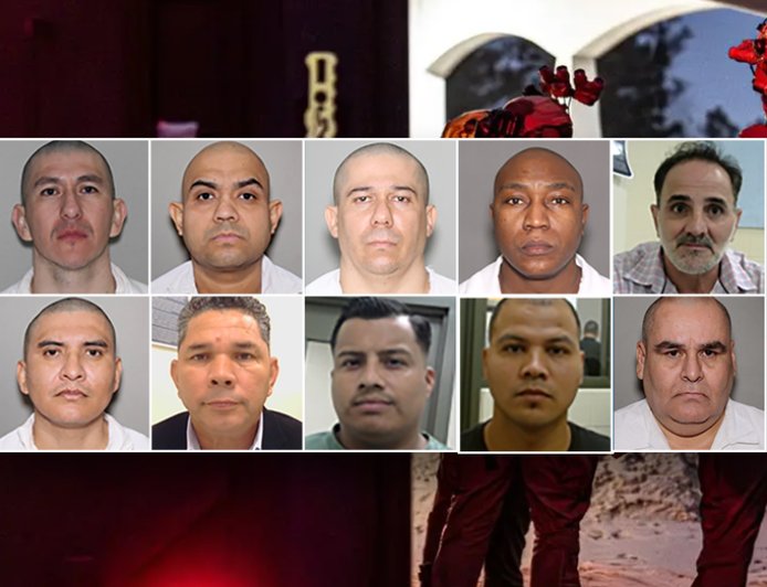 Massive ICE operation nets gang members, murderers, child predators: 'wreaked havoc'