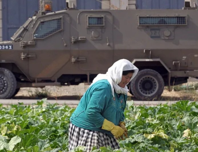 约旦河西岸的巴勒斯坦妇女通过农业抵制定居点扩张