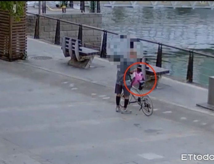 虐殺黑狗才做完筆錄...強綁花貓塞塑膠袋！恐怖街友被羈押