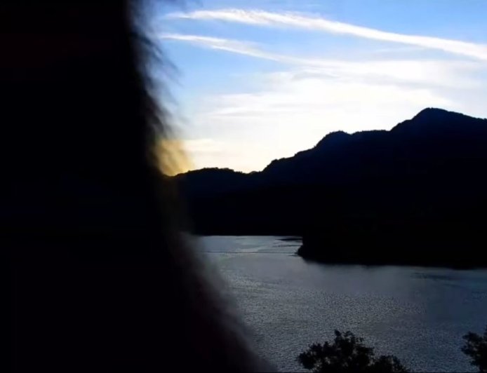 曾文水庫鏡頭君遭「猴死囡仔」巴頭　兇手留下毛茸茸犯罪證據