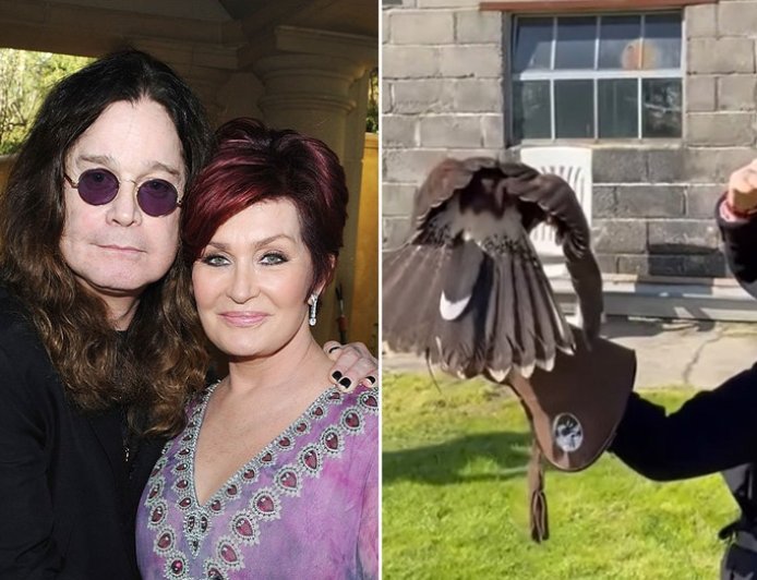 Sharon Osbourne finds 'magical' comfort in unusual hobby following Ozzy Osbourne's death