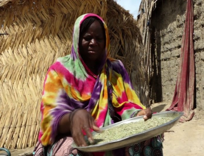 “我们会留下来”：流离失所的尼日利亚人害怕博科圣地，留在已关闭的难民营