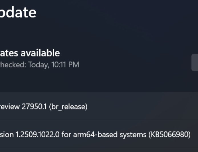 微软推 Win11 Canary 27950 预览版：撤回更名“高级”设置，修复屏幕闪烁问题