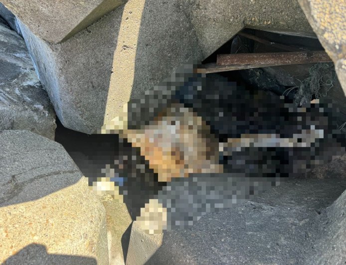 彰濱海堤驚見「白色腳掌」遊客撿貝殼嚇壞 疑為失蹤56天男子