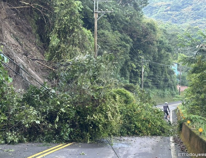 苗124線33.5K處路樹倒塌!佔據2車道 南庄警緊急排除