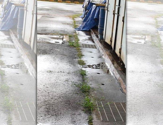 工程師遭主管「逼拔雜草」　悲慘下場曝