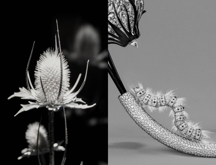 薊草「縫」滿鑽石、白金毛毛蟲很「毛」 BOUCHERON高級珠寶手法超狂