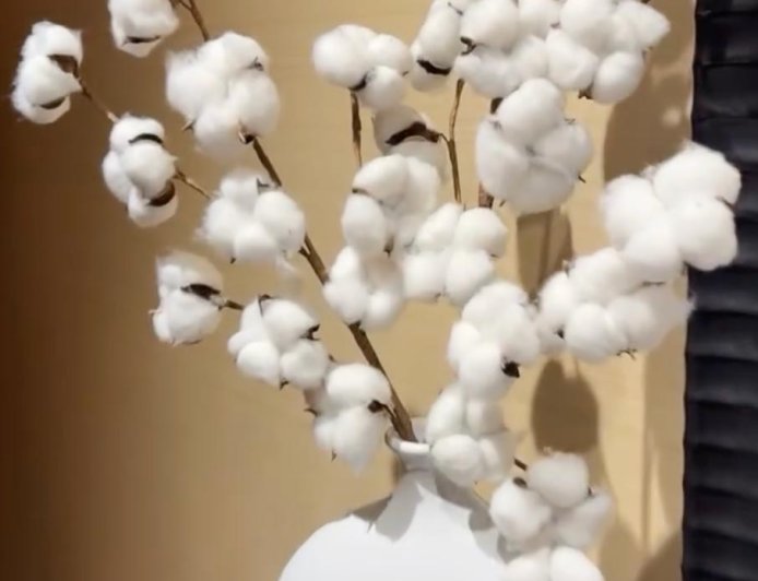 Serena Williams Calls Out Hotel Over Cotton Decorations: ‘Feels Unnatural’