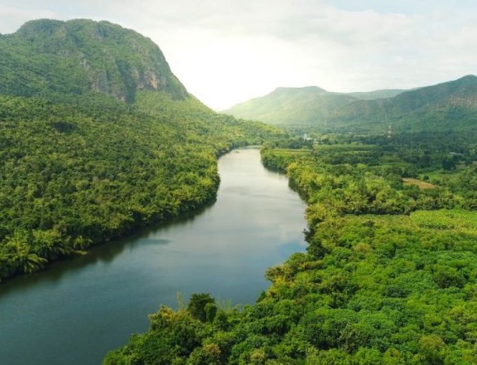 中国支持巴西1250亿美元的森林保护基金