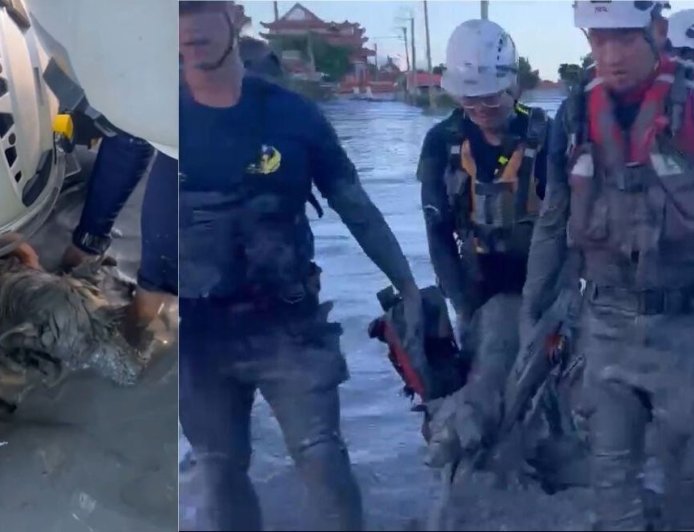 泥濘中「露出一顆頭」！狗困黑泥險滅頂…隊員手挖40分鐘救出