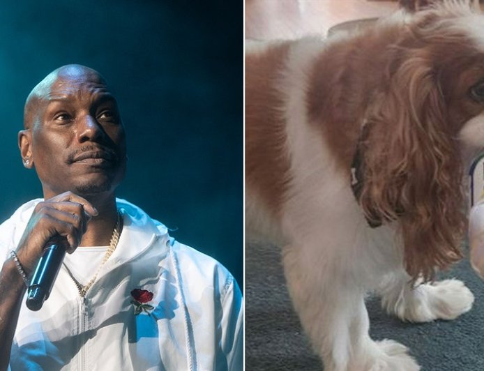 ‘Fast & Furious’ actor Tyrese Gibson faces arrest warrant after dogs allegedly kill neighbor's pet