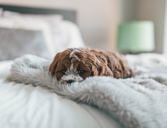 總是覺得很累、身體厭世？14種日常習慣恐是疲勞元凶