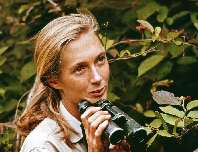 Conservationist Jane Goodall Dead at Age 91 Amid Speaking Tour