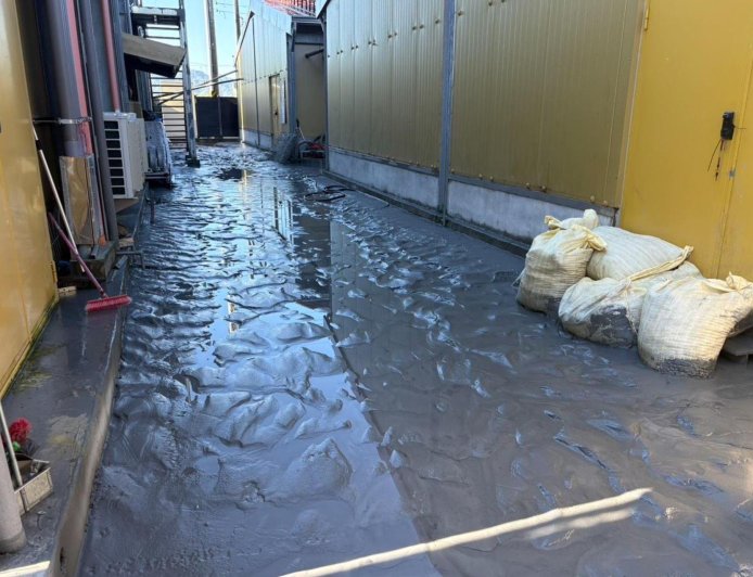 暴雨過後別踩積水！專科醫提醒：恐引發「類鼻疽」感染