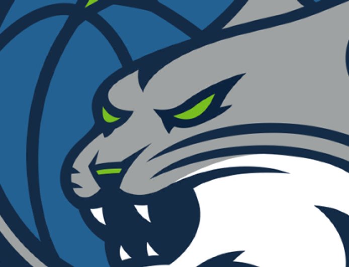 Napheesa Collier Suffered Grade 2 Tear Of Ankle Ligaments