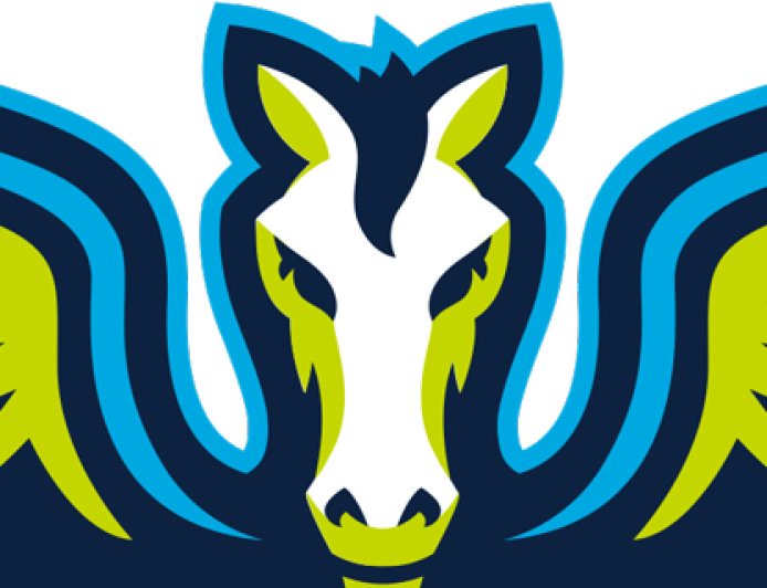 Wings Fire Chris Koclanes After One Season