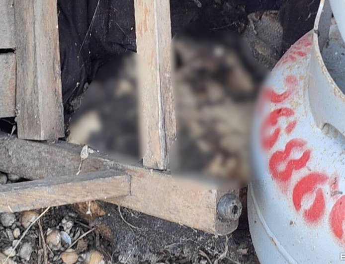 廢棄倉庫驚見一堆白骨「確定是人類的」　DNA鑑定確認身分