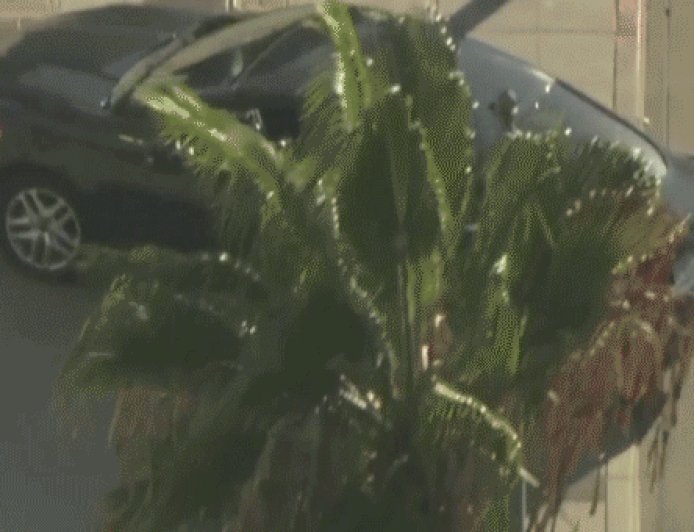 Los Angeles City Hall evacuated after car travels into steps, sidewalk in front of building; driver in custody