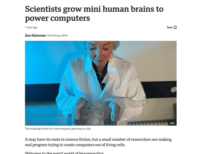 瑞士科学家培育“迷你人脑”,旨在为电脑提供动力