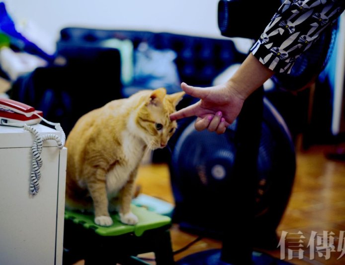 你對誰都好,就是對自己太差:過分善良不是好事!停止取悅,過想要的生活