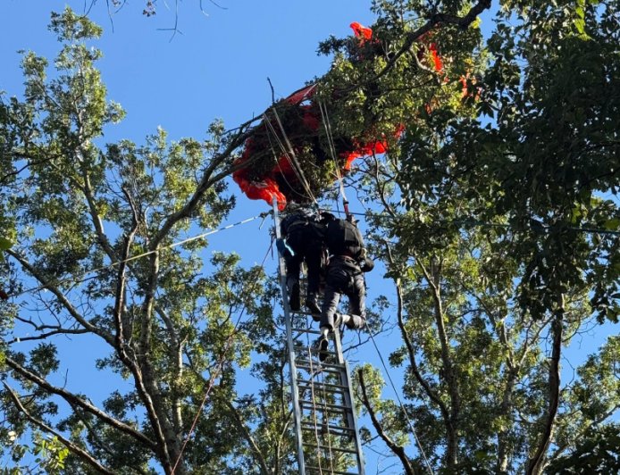 雙人跳傘教練墜亡! 學員「卡15m樹頂」苦撐數小時