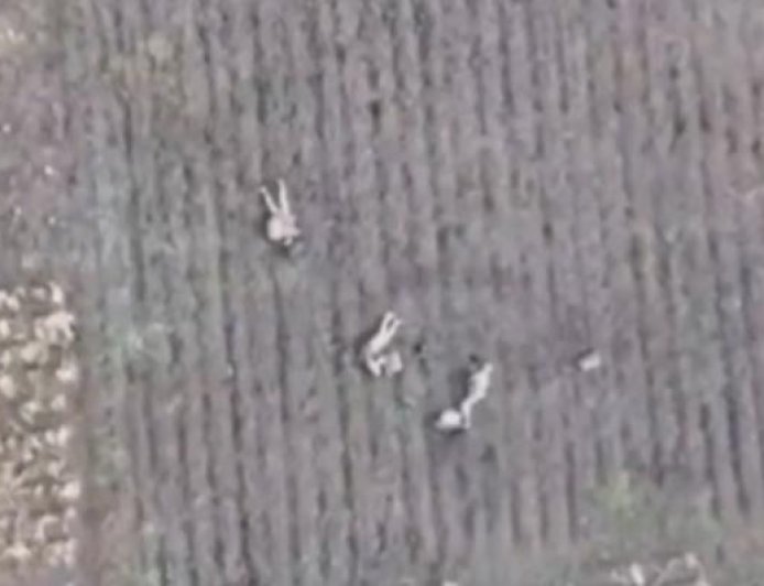 真战场兵王!俄罗斯一老兵“一挑六”并全身而退,无人机立大功