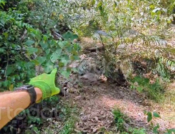 獨／男攀東卯山東南稜失聯47天成乾屍　跑山獸：跌落時應已罹難