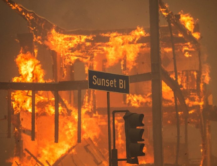 My house almost burned down in the Palisades fire. Alleged arsonist is not who I blame