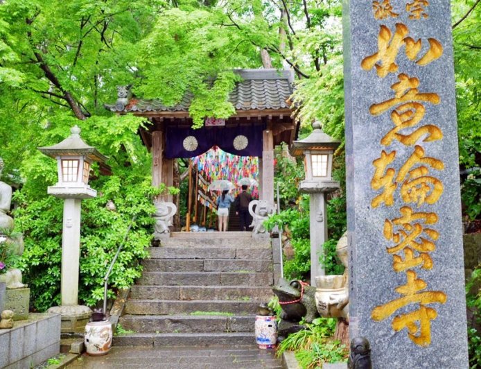 福岡青蛙神社「萬蛙雕像齊聚」超壯觀!還有可愛貓咪幫賣御守