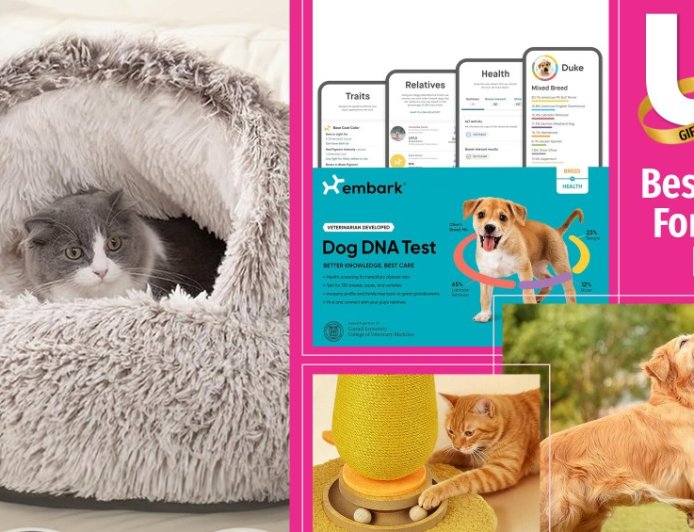 20 Tail-Waggingly Delightful Gifts to Get Your Pet This Holiday Season