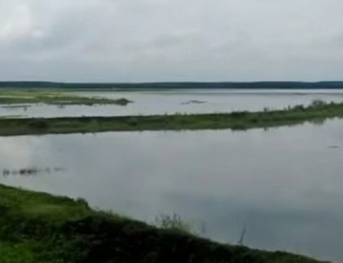 法治面 | 内蒙古8700亩行洪区土地承包后被淹，谁该担责？