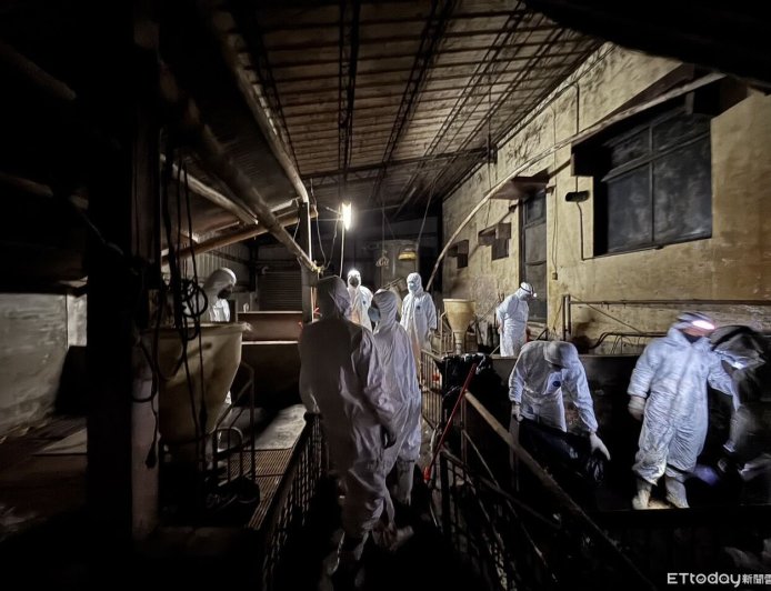 快訊/豬瘟疫情鎖在台中!全台高風險場所皆陰性 案主家檢測出爐