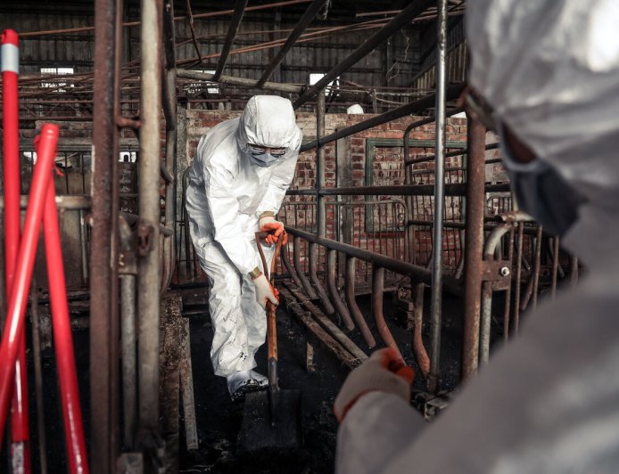 清消失敗！豬農家三度採陽「大門車子皆陽性」　豬場淤泥厚達10cm