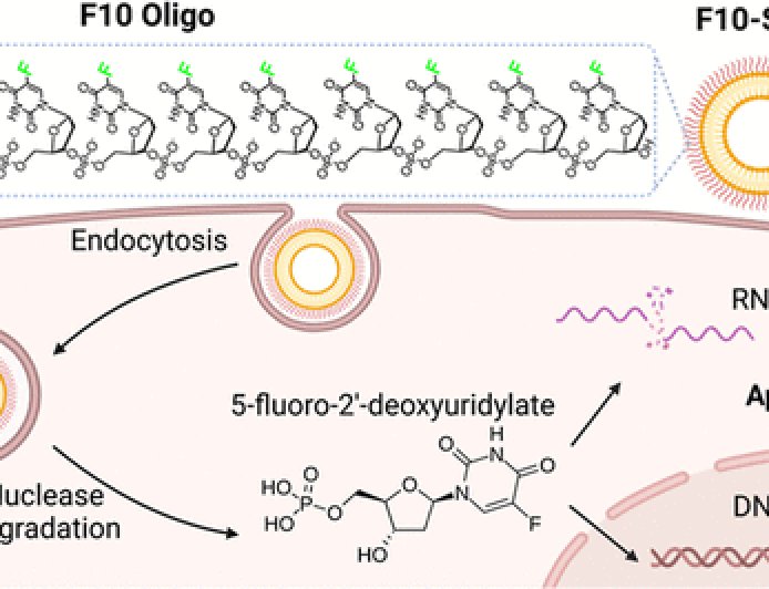 科学家重构常见抗癌药物：使其疗效提升两万倍，同时副作用更少