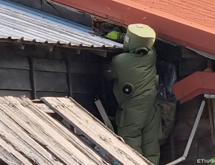 秋季虎頭蜂活躍　警方與縣府聯手守護民眾安全