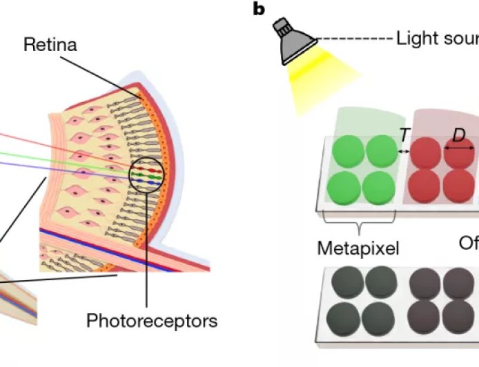 电子墨水屏像素密度超 25000 PPI，研究人员研发“视网膜电子纸”