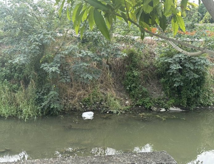 快訊／小羊暴斃憂被誤傳染豬瘟！阿伯溪邊棄屍　不慎滑倒摔死