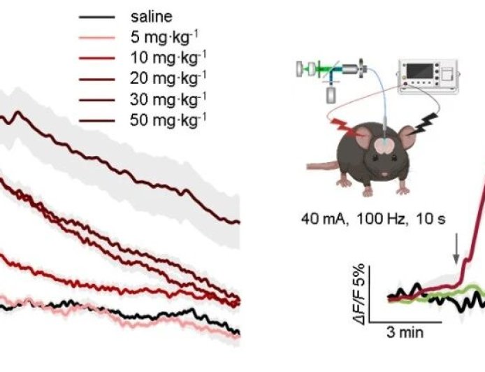 北京脑科学与类脑研究所：发现抑郁症治疗新机制，有望颠覆传统治疗手段