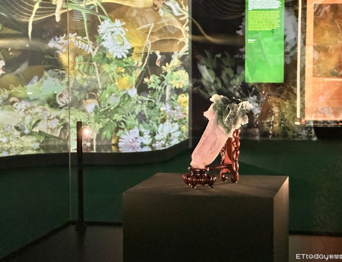 「翠玉白菜」安危受威脅　捷克博物館館長將「親自護送回台」