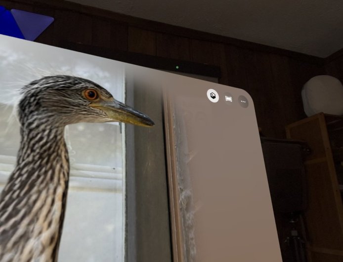 苹果“空间照片”与“空间场景”详解：一个永久格式，一个临时特效