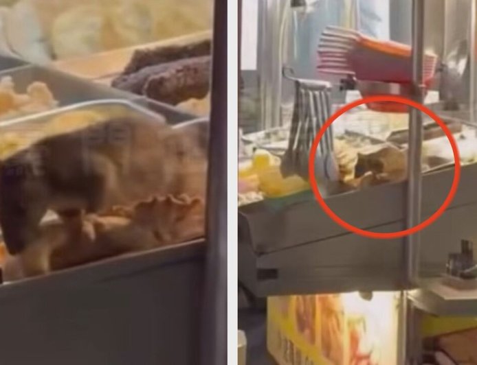 料理鼠王嘉義版！30cm大老鼠鹹酥雞攤忘情狂吃　崩潰畫面曝