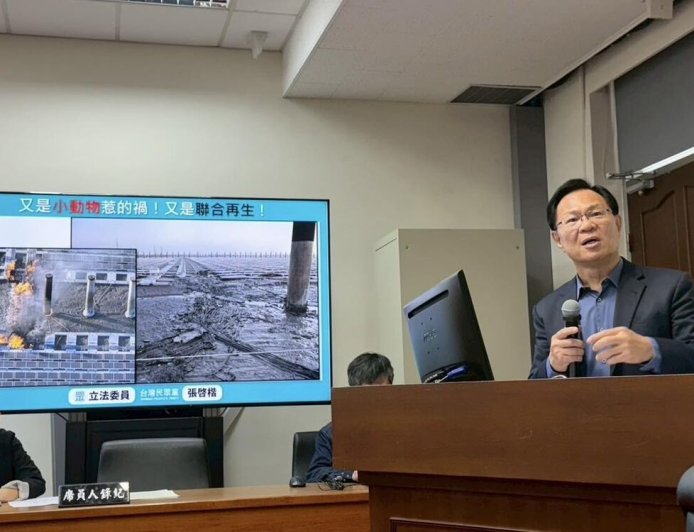 彰濱水上光電板火災「老鼠咬的」　白委籲詳查：別推給動物