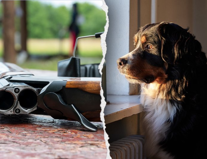 Dog shoots owner after jumping on bed during gun cleaning accident in Pennsylvania home