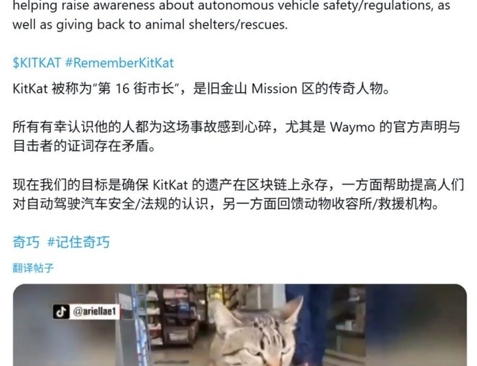 一只猫的死亡，让谷歌自动驾驶公司 Waymo 陷入公关危机