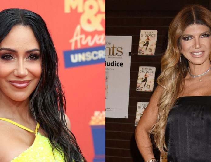 Melissa Gorga Excites The Bravo Fandom After Posting Stunning Picture With Teresa Giudice