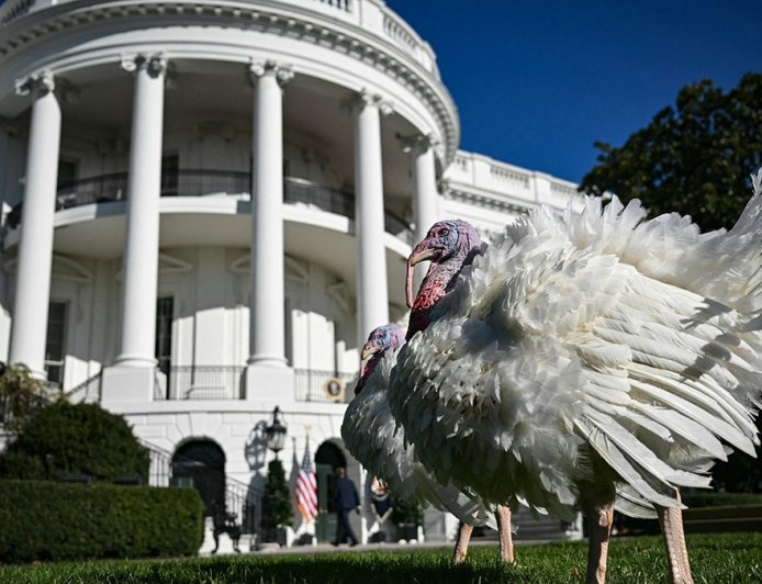 Fox News Poll: Holiday togetherness tops political differences