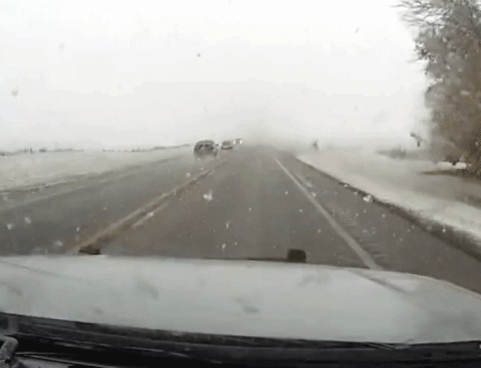 SEE IT: Suspected drunken driver's wrong-way head-on crash caught on deputy's dashboard camera