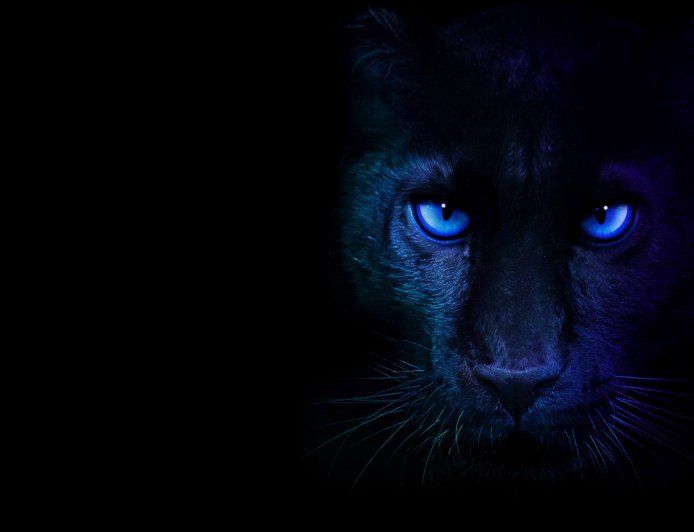 英特尔确认 CES 2026 正式发布酷睿 Ultra 第 3 代 Panther Lake 处理器