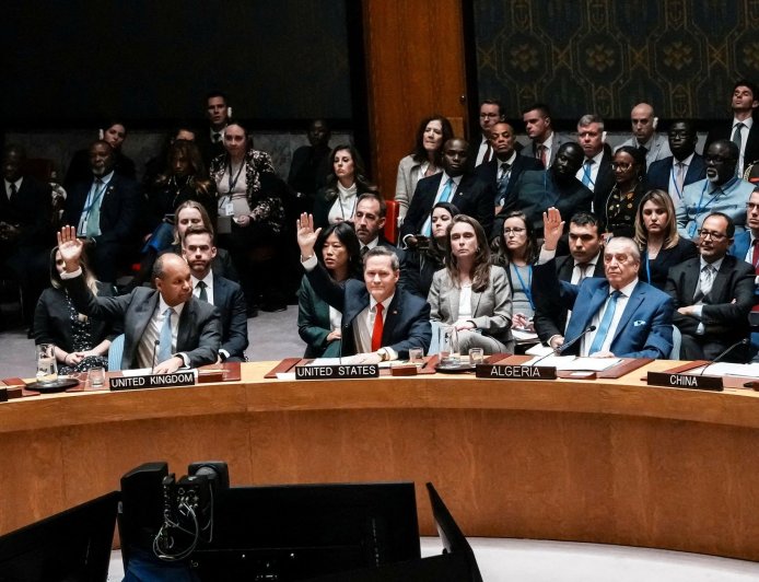 关于联合国第2803号决议（加沙问题）的意见：含糊不清和强加现实